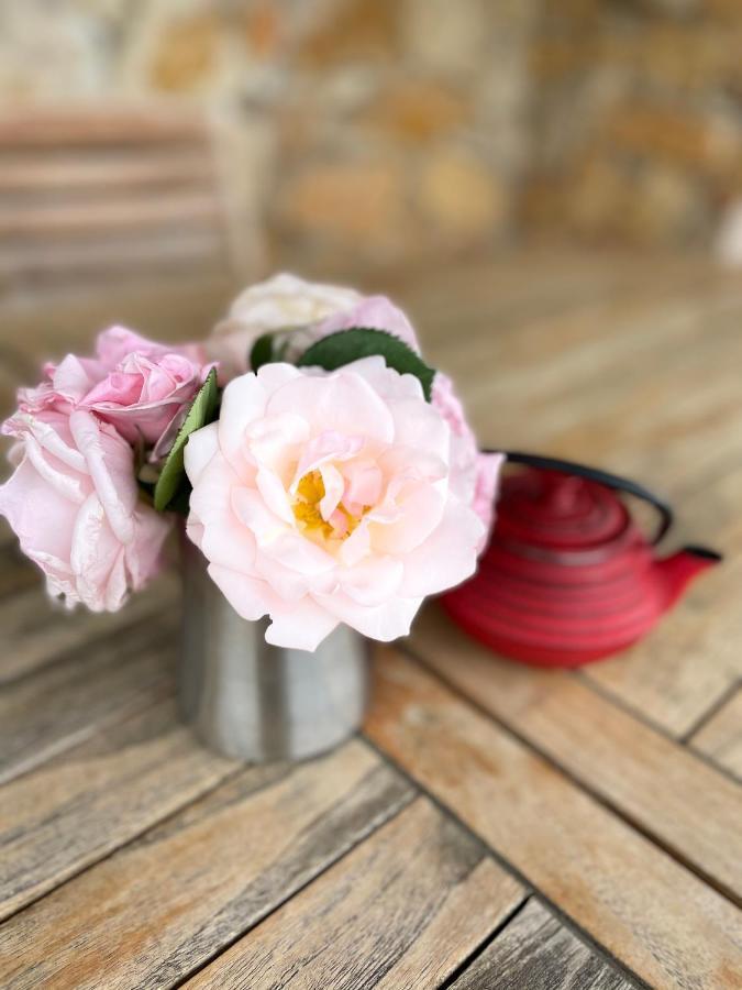 Bed & Breakfast Lou Candelou Grasse